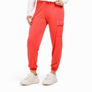 NWT WILDFOX SWEAT PANS